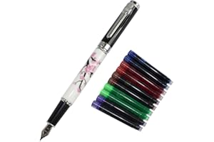 Gullor elegante Stilografica Jinhao 8802 prugna Fiore con confezione regalo e cartucce d'inchiostro