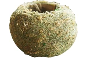 Happyyami 5 Piezas Maceta de Bolas de Musgo Estilo Japonés Natural Kokedama Florero Creativo Sphagnum Titular de La Flor Hidratante Bonsai Plantas Contenedores