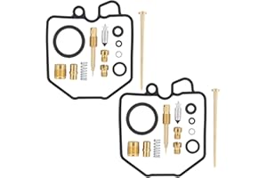 NONE BRANDED Doo Engy - Kit di riparazione carburatore per Honda 2 pezzi
