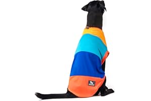 HUFT Sunny Party Vest for Dogs - Multicolor (L)
