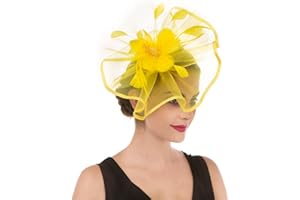 HAOJING Fascinator Hat Feather Mesh Net Veil Party Hat Ascot Hats Flower Derby Hat with Clip and Hairband for Women