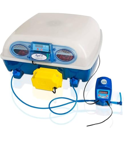 Chioccia Artificiale Per Pulcini Con Termostato - Basso Consumo (8W), Resistente, Regolabile In Altezza, Per 30-35 Pulcini