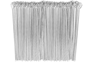 QQ CAT Brochettes de Barbecue en Acier Inoxydable de 15 cm, bâtons de Cocktail, Brochettes de Légumes Pics en Verre à Martini réutilisables 100pcs