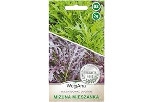 WegAna Mostaza de hoja japonesa Mizuna 2g, mezcla de semillas, semillas de hortalizas robustas, semillas de hortalizas, cultivo de semillas, semillas para invernadero