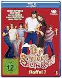 Die wilden Siebziger! - Die komplette 7. Staffel (2 Blu-rays) - Ashton Kutcher