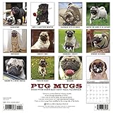 Image de Pug Mugs 2017 Calendar: Good Pugs Gone Bad