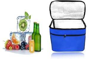 HIQE-FL Kühltasche Faltbar,10L Picknicktasche Kühltasche,Thermotasche Klein,Isoliertasche Lunch,Kühltasche Eistasche,Lunch Tasche,Kühlbox für Picknick (Blau)