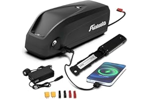 Adaluolo Batería Bicicleta Eléctrica 48V 20AH Batería Ebike Hailong Bateríe Lones Litio Bicicleta Electrica con Cargador, 5 Pin Placa Base, Puerto USB para 100W-1500W Motor