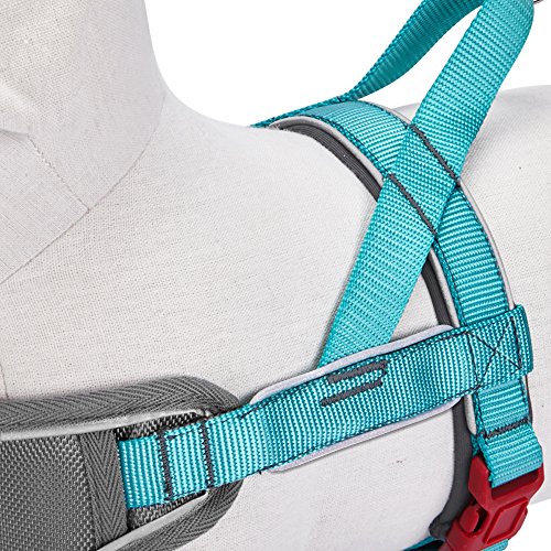 Blueberry-Pet-3M-Reflective-Strips-Nylon-Solid-Color-Neoprene-Padded-AntiNo-pull-Adjustable-Dog-Training-Harness