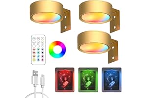 KNUBBUF Magnetisches Mallicht Mit 13 Beleuchtungsmodi, Magnetische LED Bilderleuchte, Bilderleuchte Kabellos Mit Fernbedienung Und Timer, für Bilder Dartboard Fotorahmen Portrait (Gold-13-Farben, 3Pcs)