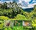 Regenwald 210819 2019: Großer Wandkalender. Foto-Kunstkalender über Tiere, Landschaft und die Natur im Dschungel. Querformat 55 x 45,5 cm. Edles Foliendeckblatt by