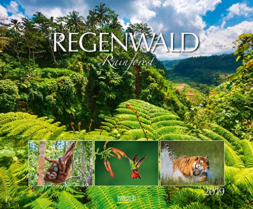 Regenwald 210819 2019: Großer Wandkalender. Foto-Kunstkalender über Tiere, Landschaft und die Natur im Dschungel. Querformat 55 x 45,5 cm. Edles Foliendeckblatt