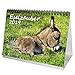 Produktbild Eselzauber · DIN A5 · Premium Tischkalender/Kalender 2019 · Esel · Pony · Pferde · Reiten · Fohlen · Hengst · Stute · Edition Seelenzauber