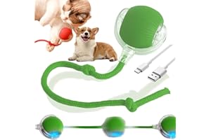 Genérico Juguete Interactivo para Gatos y Perros, 2026 Juguete Eléctrico con Carga USB, Tres Modos de Trabajo, 360° Smart Automatic Rolling Pet Ball, Juguete Eléctrico Automático (Green)
