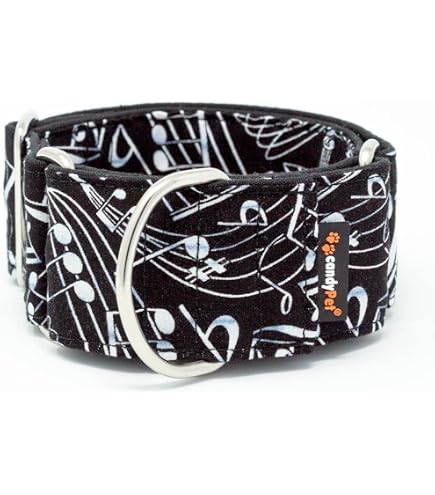 Dazzber Martingal Halsband Für Hunde – Einstellbar, 2,5 Cm Breit, Weiches Polyester, Größe L (45-64 Cm)