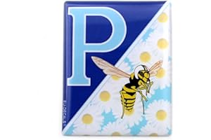 EU-DECALS - MIOVESPA COLLECTION Insignia Frontal Superposición 3D Domed para la insignia frontal (horncasting) de tu vespa Blue Daisy y el logotipo MioVespa para varios modelos Vespa de MioVespa Collection