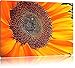 Produktbild große anmutige Sonnenblume schwarz/weiß Deluxe Format: 120x80 cm auf Leinwand, XXL riesige Bilder fertig gerahmt mit Keilrahmen, Kunstdruck auf Wandbild mit Rahmen, günstiger als Gemälde oder Ölbild, kein Poster oder Plakat
