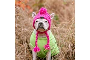 PQIQP Winter Hundemütze Strickmütze Flauschige Katzenkappe Warme Haustier Kopfbedeckung mit langem Zopf Welpe Kopf Zubehör (Lila)