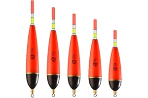 Hongoen 5 PCS Fishing Posen Set,Leuchtend Angeln SchwimmtPosen Set,Angelposen aus Eva-Schaumstoff,3g/4g/5g/6g/8g Posen Angeln,Schwimmer Angeln Für Hecht, Barsch, Karpfen, Barsch