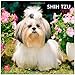 Shih Tzu 2013 - Original BrownTrout-Kalender by