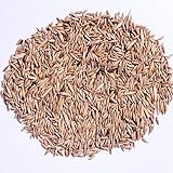 RK Seeds-Bamboo seeds Giant thorny bamboo,Indian thorny bamboo,spiny/thorny bamboo, clumping bamboo, Bambusa bambos,Bambusa arundinacea for farming/fencing/garden/garden outdoor - Pack of 500 g