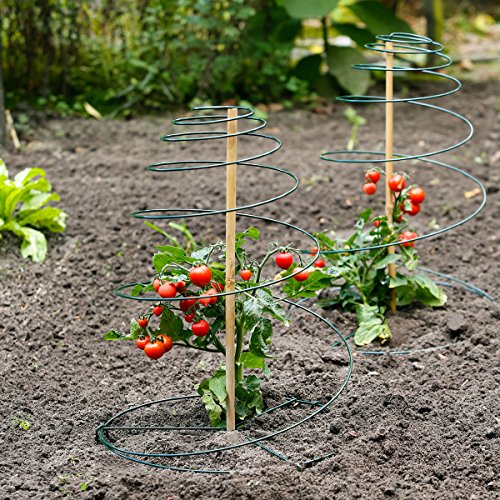 Rank-Spirale, 2er Set