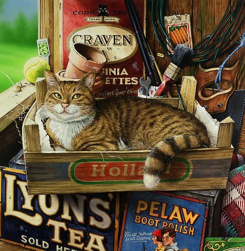 Fothergill, the Tabby Cat in the Potting Shed, Greeting Card by Geoff Tristram, Greetings Card Size Approx. 140 x 140mm