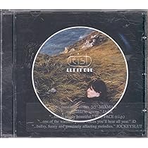 FEIST / PLEASURE レアアルバム Pleasure - Album by Feist | Spotify