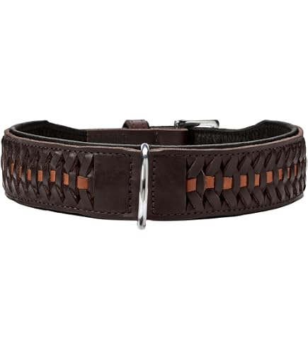 HUNTER ARIZONA Hundehalsband – Leder Mit Nieten, Größe 42 (S-M), Braun, Made In Germany