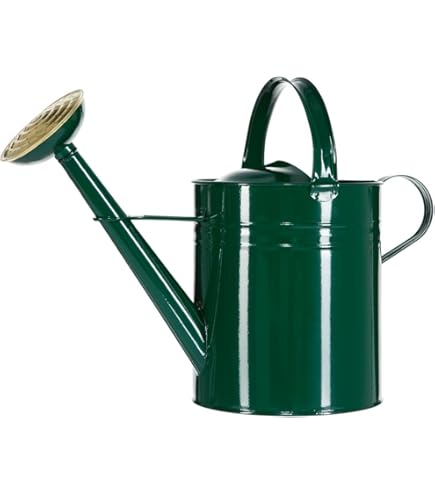 Siena Garden Gießkanne 10 Liter - Verzinkter Stahl Blumengießer