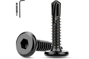 XRXYMQ 60 Pièces Vis Autotaraudeuses Acier Inoxydable M5.5x25 mm Vis à Tôle Autotaraudeuses 410 à Six Pans Creux Autoforeuses Noires avec Tournevis Clé Allen