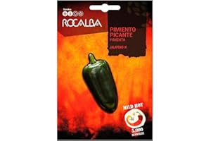 Semillas Pimiento Picante Jalapeno M Rocalba