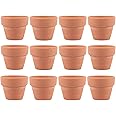 EVERMARKET Small Mini Clay Pots, 12 Pcs 1.2" Terracotta Pot Clay Ceramic Pottery Planter, Cactus Flower Nursery Terra Cotta Pots, with Drainage Hole, for Indoor/Outdoor Succulent Plants