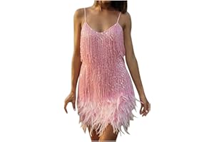 HAOLEI Mini Dress Women 1920s Flapper Fringe Dress Vintage Dance Dress V Neck Roaring Fancy Sequin Dress Cocktail Party Dress Tassels Ballroom Salsa Samba Tango Latin Dance Dress