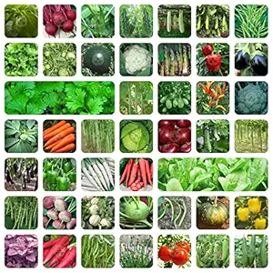 ONLY FOR ORGANIC 45 Variety Of Vegetable Seeds With Instruction Manual