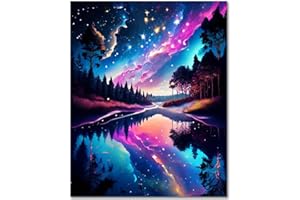 TISHIRON Paint by Number for Adults Night Landscape DIY Paint by Numbers Kits with Brushes Aurora Starry Sky Oil Hand Painting Art Crafts for Home 16"x20"(Frameless)