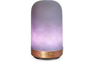 ‎EARNEST LIVING Earnest Living Ätherische Öl-Diffusoren für ätherische Öle 100 ml Ultraschall-Diffusoren 4 Timer Nachtlichter und Auto-Off-Funktion Home Office Aromatherapie-Diffusoren für ätherische Öle Geschenk