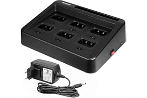 Retevis RT29 Ailunce HD1 Walkie Talkie Cargador de Seis Vías, 12 V / 2.5 A, Práctico Cargador Múltiple, Compatible con Radio Bidireccional Ailunce HD1 Retevis RT29 (1 Pieza)