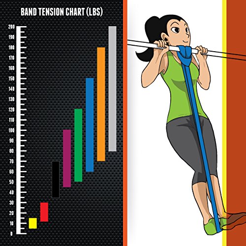 CKB LTD® Fitness Resistance Band SINGLE BAND | Widerstandsbänder | Fitnessbänder Trainingsbänder für Bodybulding Yoga Krafttraining Powerlifting & Fitness – Für Frauen und Männer geeignet, zur Unterstützung des Trainings und bei Klimmzügen, Calisthenics Gymnastik Pull-Up Klimmzughilfe | Professionelle Latex Widerstand Bänder - 5