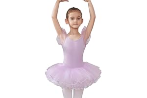 HIPPOSEUS Fille Robe de Ballet Danse Tutu Justaucorps de Ballet Danse Gymnastique Enfants Manches Courtes, Y-04WDM