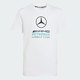 adidas MERCEDES - AMG PETRONAS FORMULA 1 TEAM DNA GRAPHIC TEE