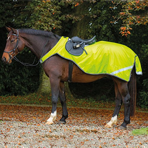 Preisvergleich Produktbild Horseware Amigo Reflective Competition Sheet 50g - Reflective Yellow, Groesse:M