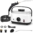 Handheld Steam Cleaner, iklestar 2500W High Pressure Portable Steamer Cleaner Machine with 3 Brush Heads, Hand Held Steamers for Cleaning Home, Car, Kitchen, Bathroom，Carpets
