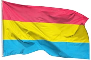 PHENO FLAGS Pan Flagge 90x150cm - wetterbeständige Pride Fahne mit Messingösen, 100% Polyester, robuste Doppelnaht & in lebendigen Farben - ideal für Flaggen-Liebhaber