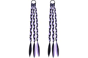 LARFRAECY 2 PCS Cinta Elástica de Pelo Trenzado de Colores,Trenzas de Colores,Accesorios para el cabello de Trenza coloridos,Extensiones de Pelo Coleta Trenzada,Trenza de Cabello Colorida (Morado)