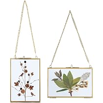 Glas Bilderrahmen Mit Kette – 2 Stück, 13x18 Cm, Goldfarben, Für Fotos & Gepresste Blumen, Wanddekoration