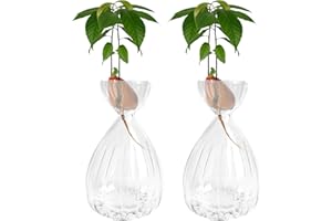 LUOLETY Lot de 2 vases hydroponiques en verre pour semences d'avocat, pots de fleurs pour les amateurs de jardinage (transparent)