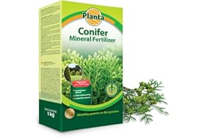 TRANS - PAL Conifer Fertilizer 1 kg – Mineral Granules for Thuja, Leylandii & Evergreen Hedges – NPK 4-13-22 with Magnesium & Sulphur – Supports Growth, Color & Density – Covers Up to 200 Plants
