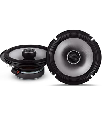 その他 Reverberations 2 S.C.X REAudio SCX V2-10 SCX Version 2 Serisi 10 İnç Çift 4 Ohm Subwoofer