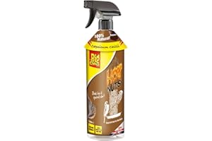 The Big Cheese Hot Nuts Grey Squirrel Deterrent Spray – 1 Litre Ready-To-Use Treatment for Bird Feeders, Including Bird Tables, Contains Capsicum Chilli